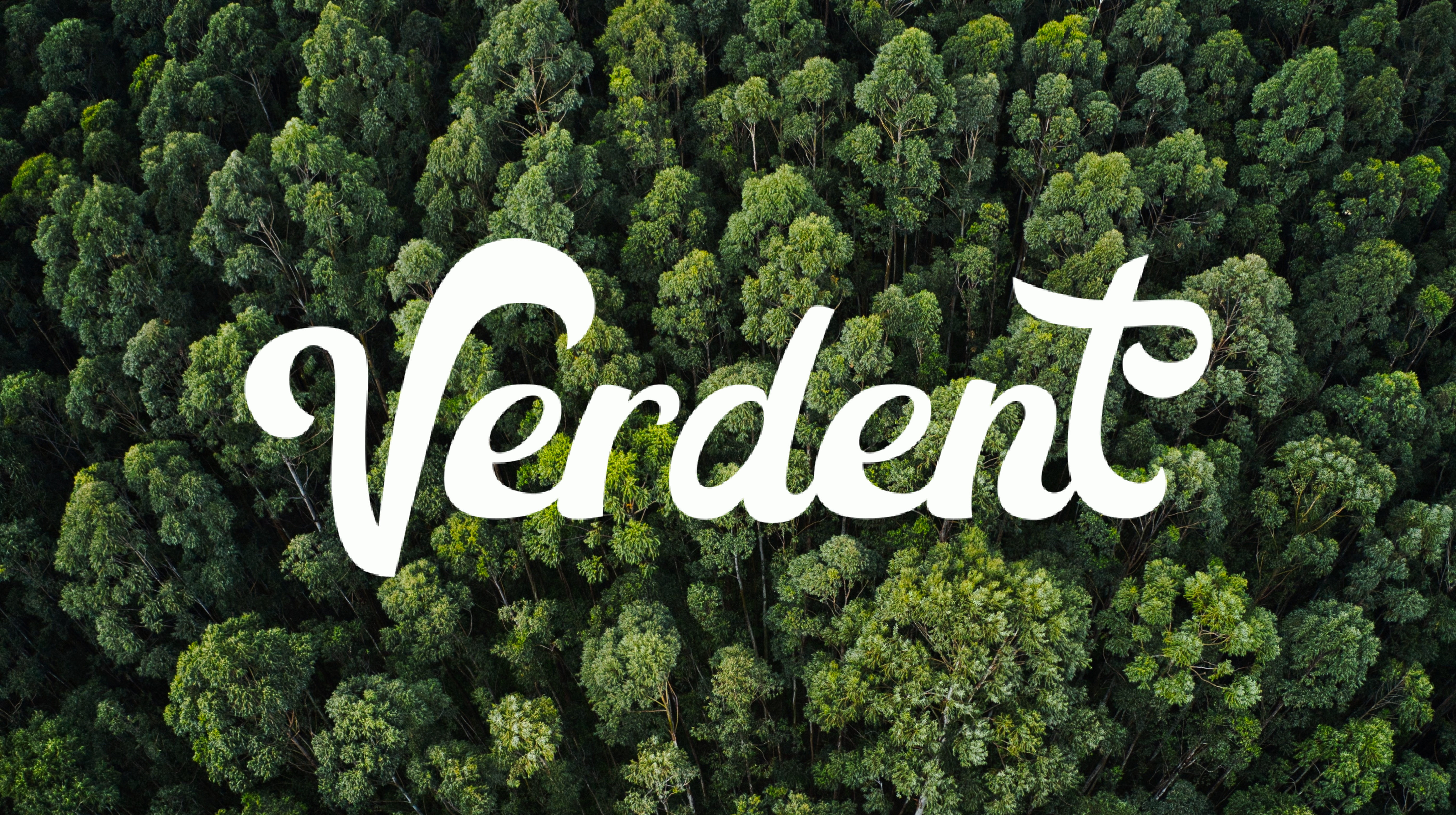 Verdent - Sustainable Brand
